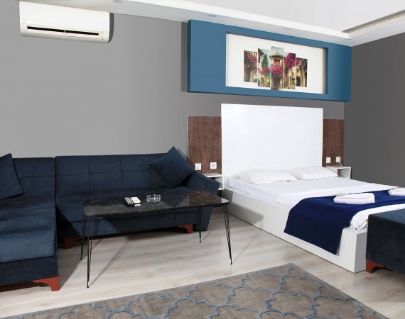 1+1 Standart Daire